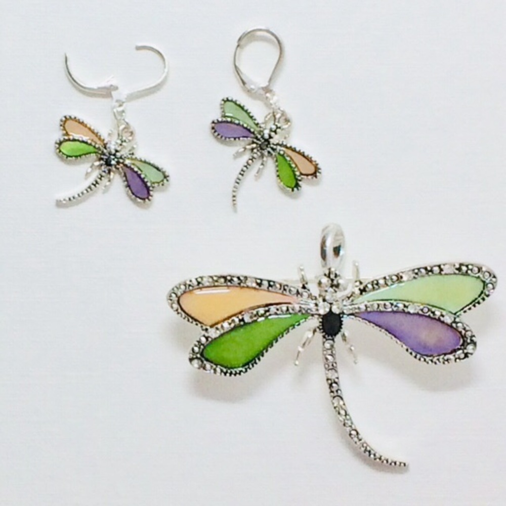 Earrings and brooch C19L